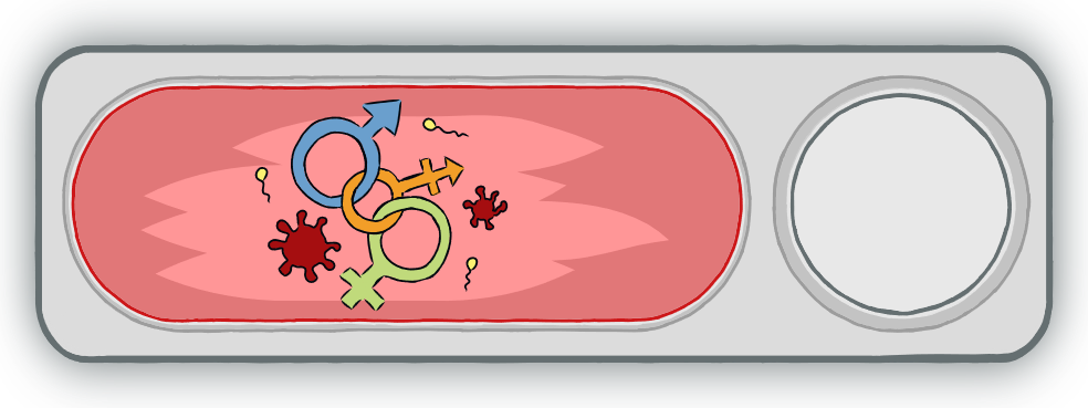 HIV-STI-Prävention und sexuelle Bildung blanko